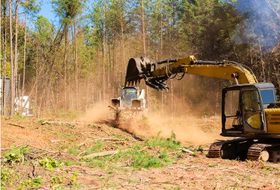 Excavators clearing trees in forest area.