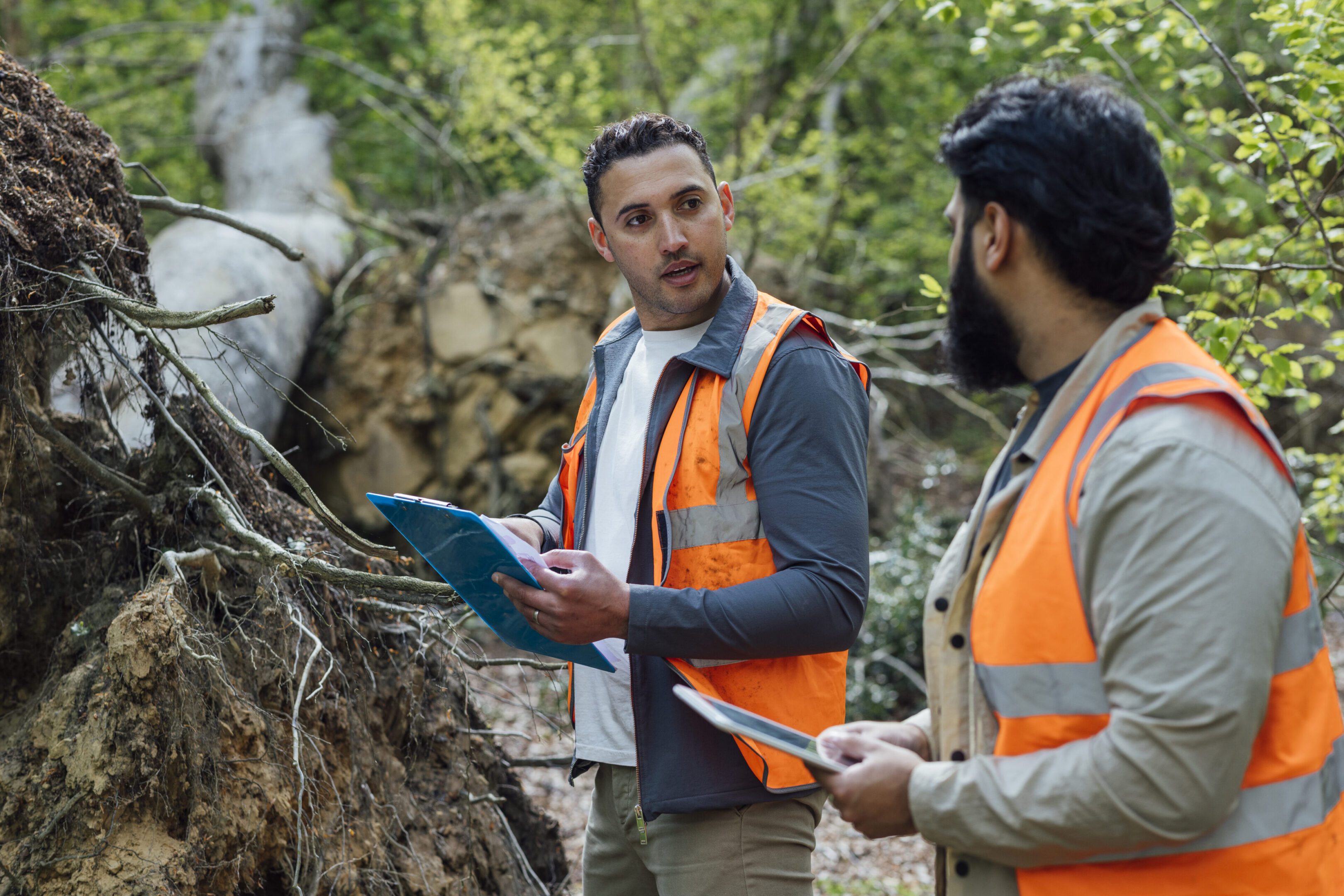 Two workers examining fallen tree in forest.